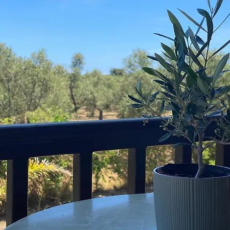 Clelia Apartament
